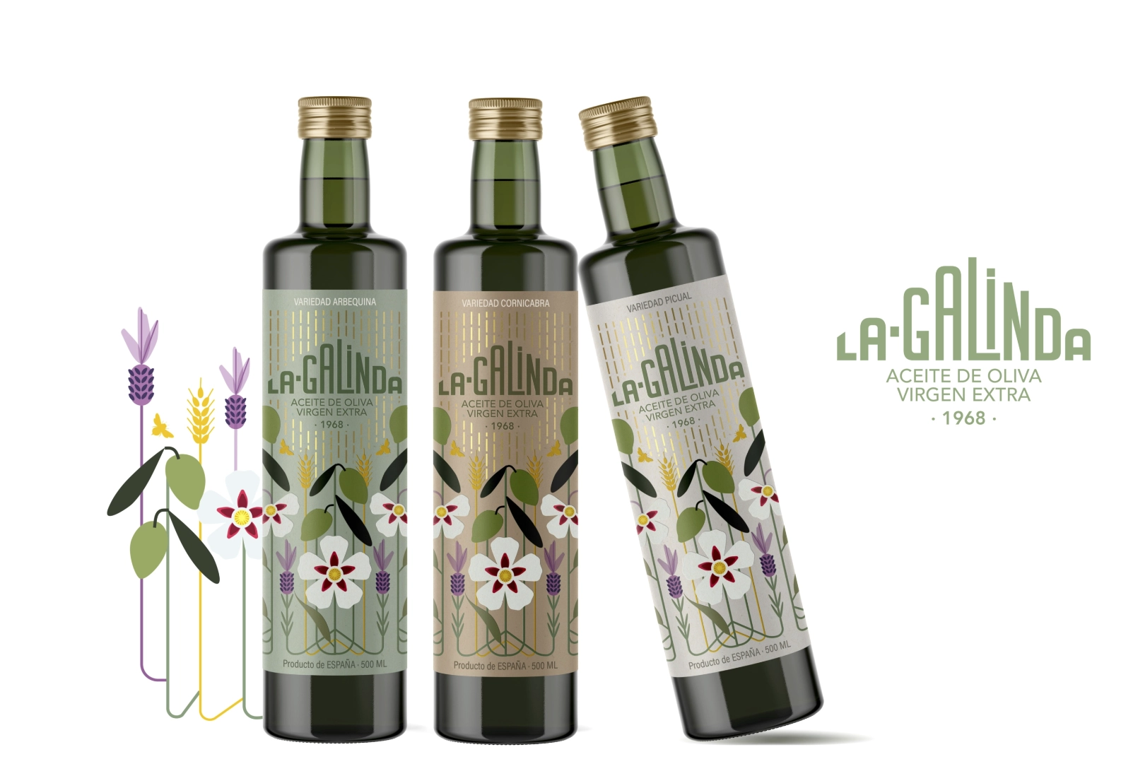 Cooperativa San Miguel