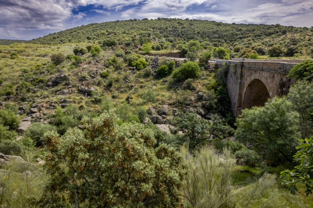 Río Pusa