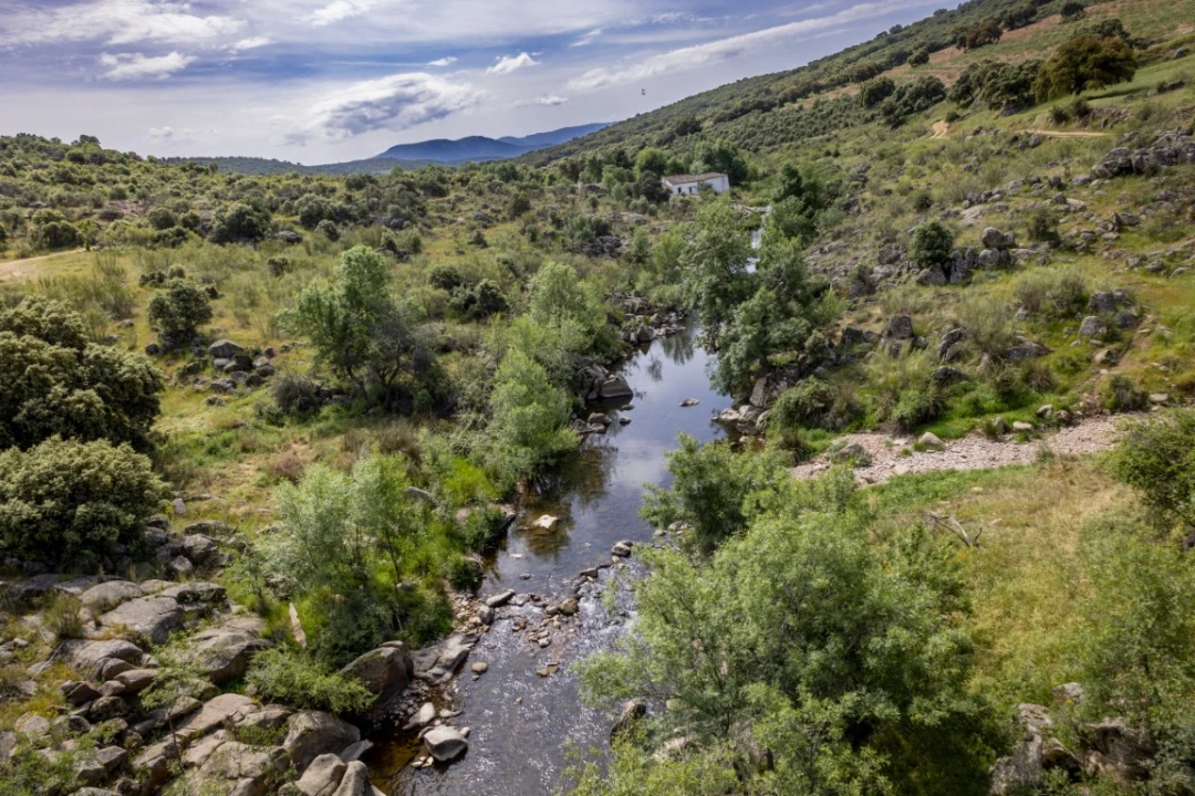 Río Pusa