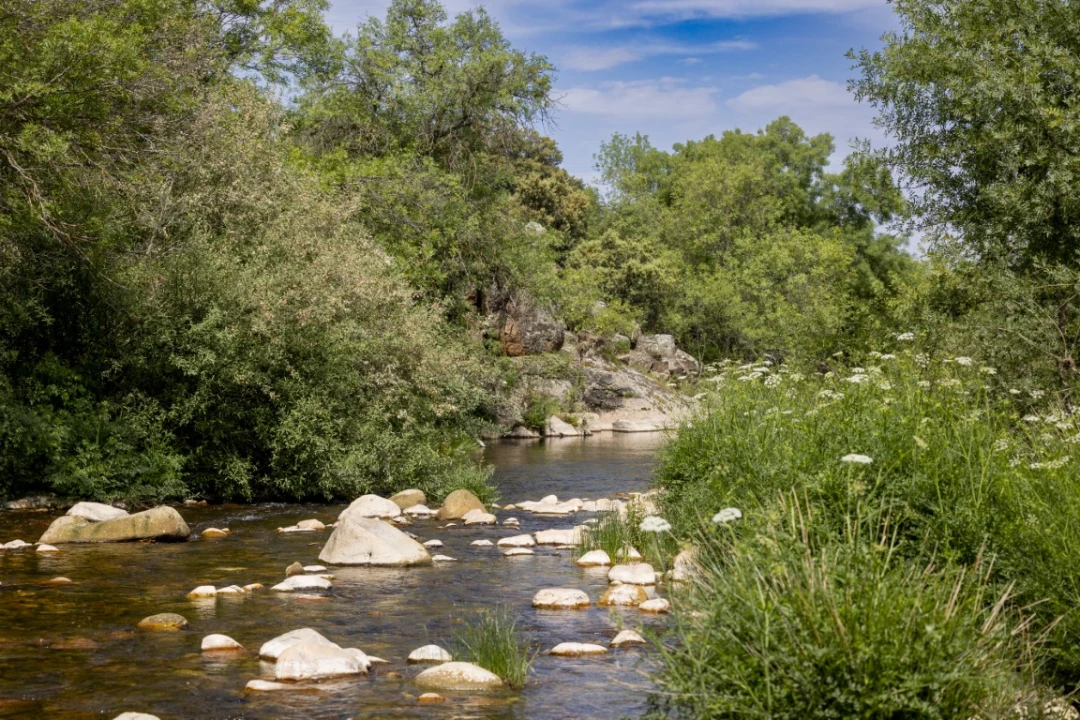 Río Pusa