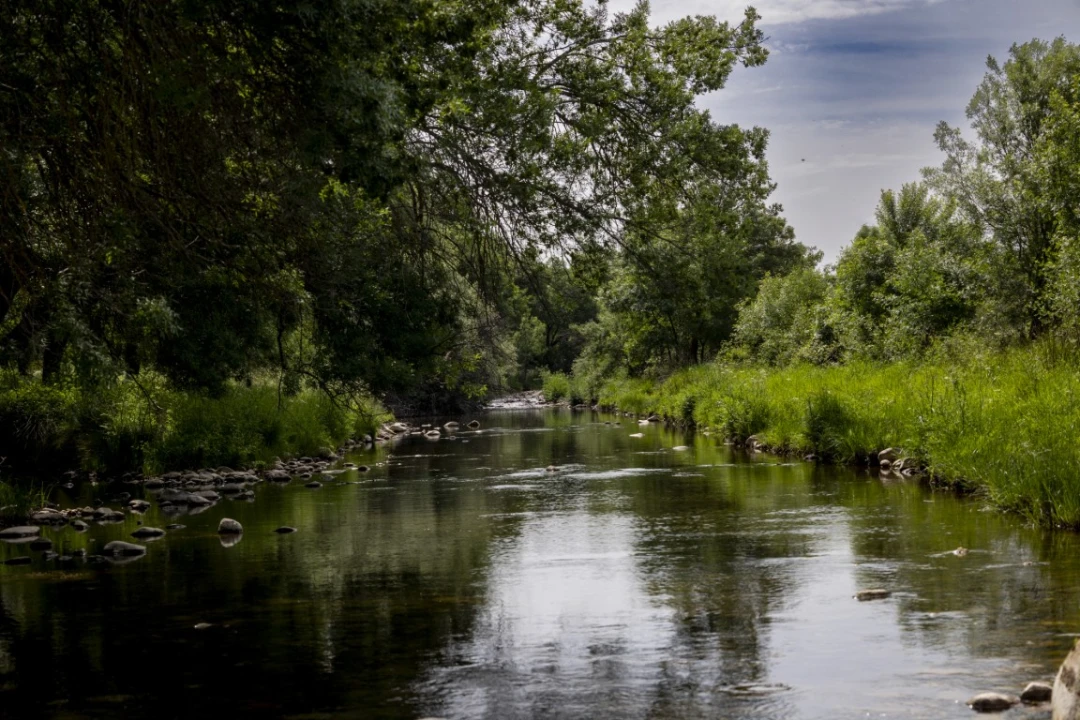 Río Pusa