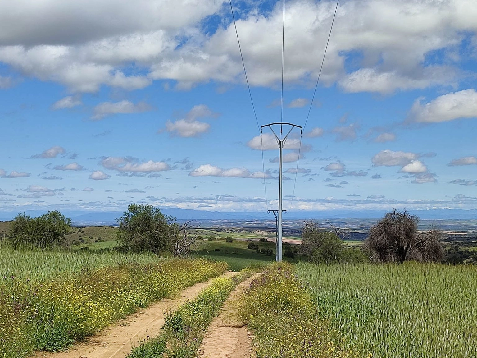 Ruta Las cañadas