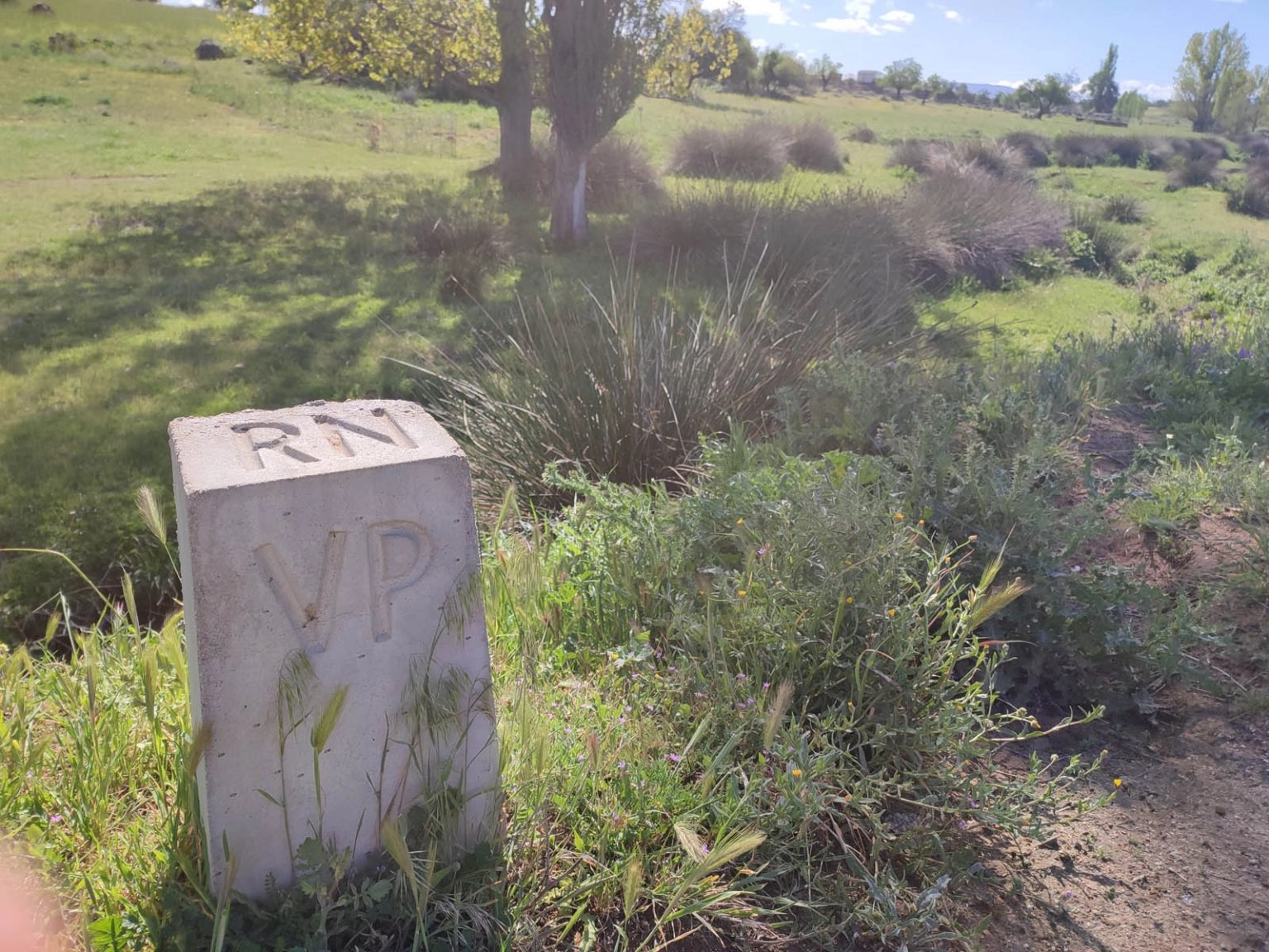 Ruta Las cañadas