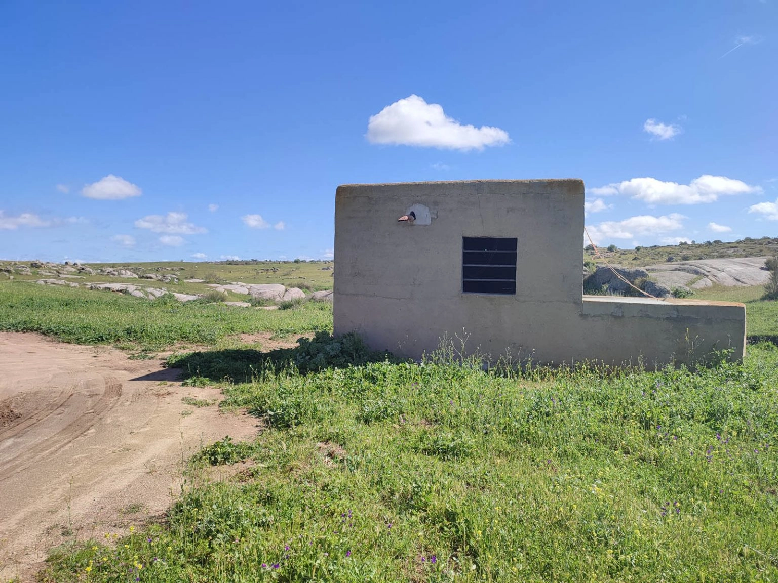 Ruta Las cañadas